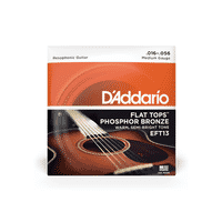 D'addario EFT13 Flat Top Acoustic Strings 16-56