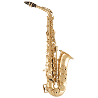 Selmer SAS411 Intermediate Alto Saxophone - Open Box