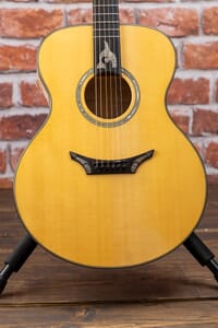Haida Gwaii Custom Acoustic Guitar