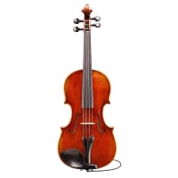 Eastman VL7015+ Rudoulf Doetsch Acoustic Electric 5 String Violin Outfit