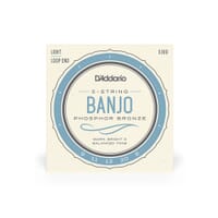 EJ69 D'addario Banjo 5 String Set Bronze 9-20