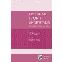Excuse Me I Don't Understand (SA) by Ivo Antogini