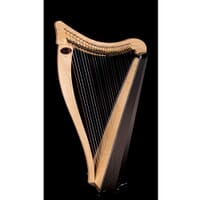 Dusty Strings Ravenna 26 Harp Package Used