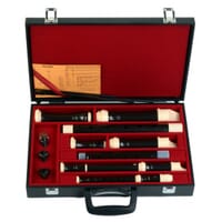AULOS 500 Series Four Recorders Set with Case