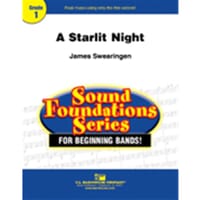Starlit Night Concert Band by James Swearingen