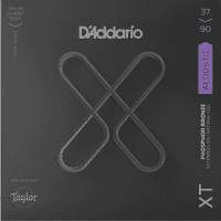 D'Addario XT Mini Acoustic Bass Strings 37-90 (23.5" Scale Length)